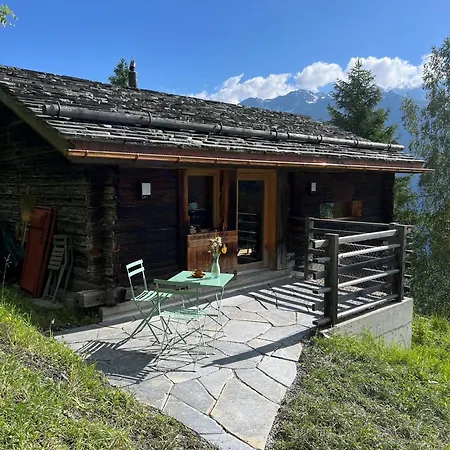 Сasa de vacaciones Altypic Mayen D'exception En Valais Bruson